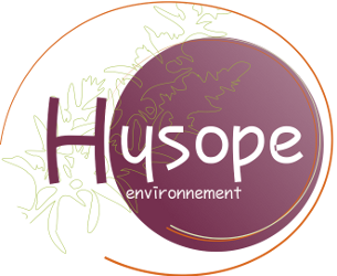 logo 8